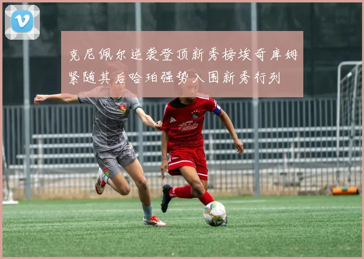 克尼佩尔逆袭登顶新秀榜埃奇库姆紧随其后哈珀强势入围新秀行列