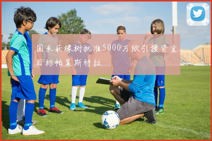 国米获橡树批准5000万欧引援资金目标帕莱斯特拉
